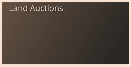 Land Auctions
